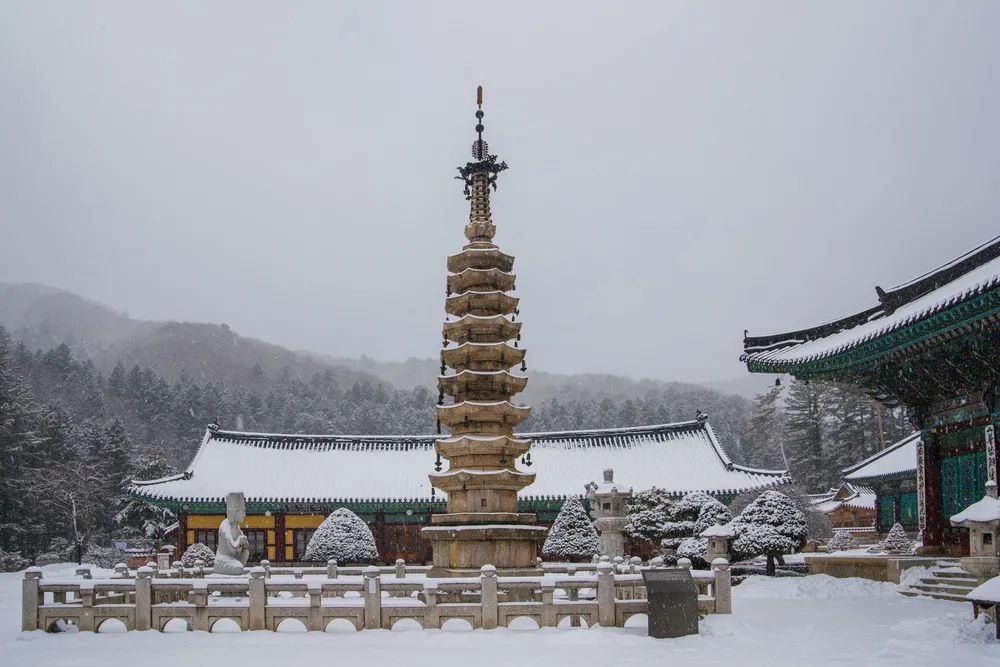 请在10秒内,说出之前五届冬奥会的举办城市休闲区蓝鸢梦想 - Www.slyday.coM 请在10秒内,说出之前五届冬奥会的举办城市休闲区蓝鸢梦想 - Www.slyday.coM