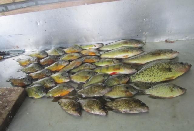 三孩妈妈的<a href=