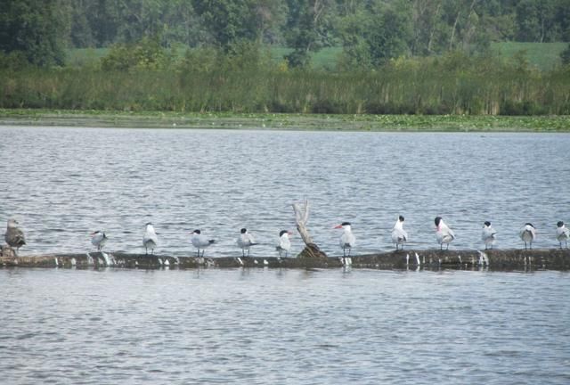 三孩妈妈的<a href=