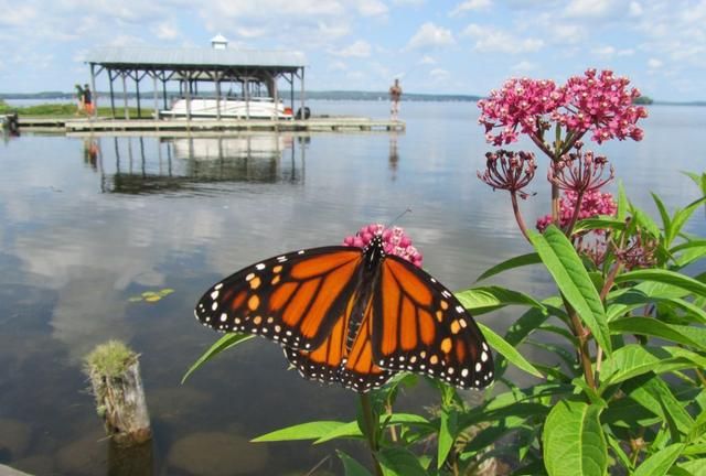 三孩妈妈的<a href=