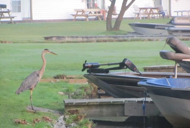 三孩妈妈的<a href=