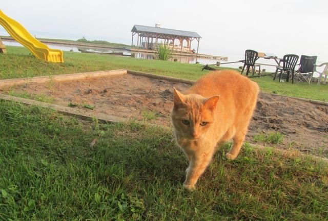 三孩妈妈的<a href=