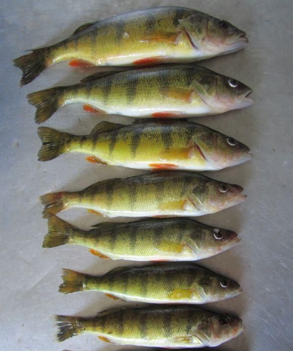 三孩妈妈的<a href=