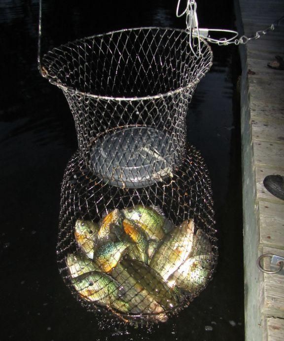 三孩妈妈的<a href=