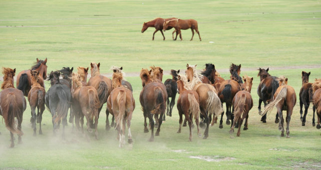我国最大地级市有多大，相当2个<a href=