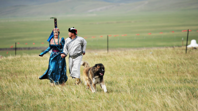 我国最大地级市有多大，相当2个<a href=