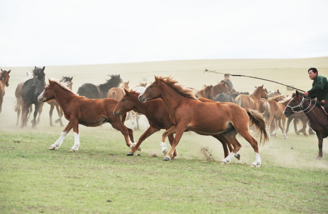 我国最大地级市有多大，相当2个<a href=