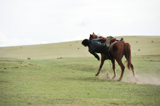 我国最大地级市有多大，相当2个<a href=