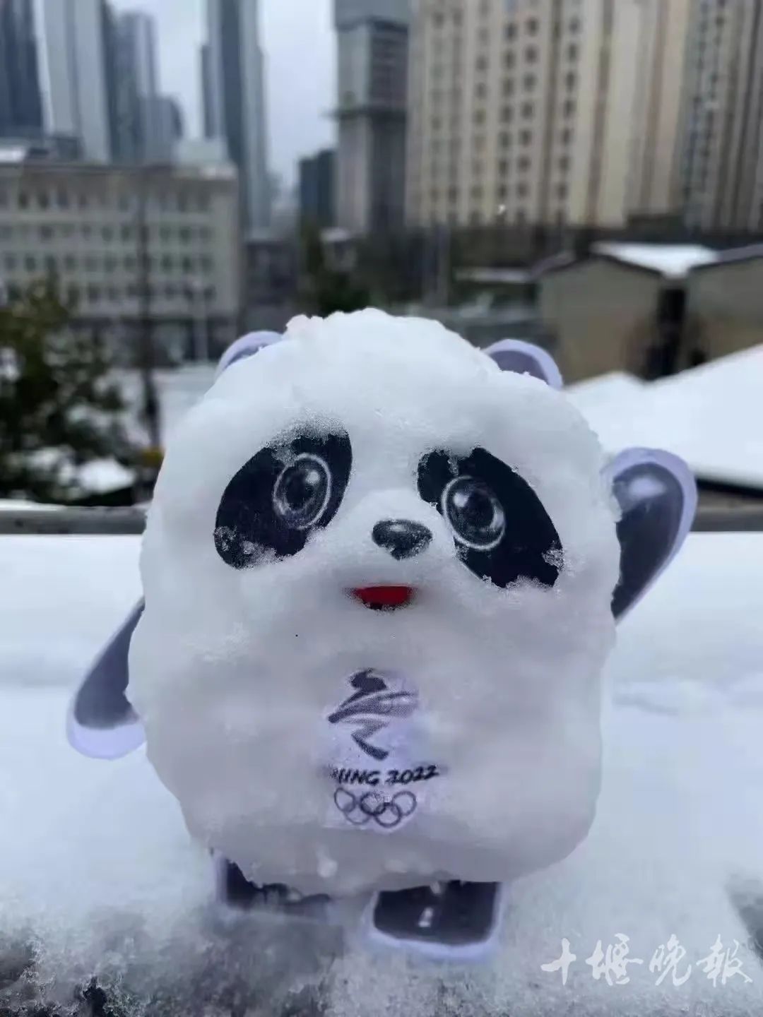 冰墩墩花费两三个小时从门画上剪下来一个奥运五环代晓涵小姐姐灵机一