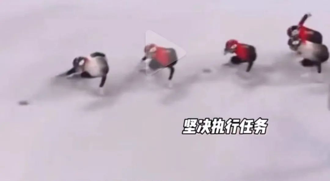 匈利亚、<a href=