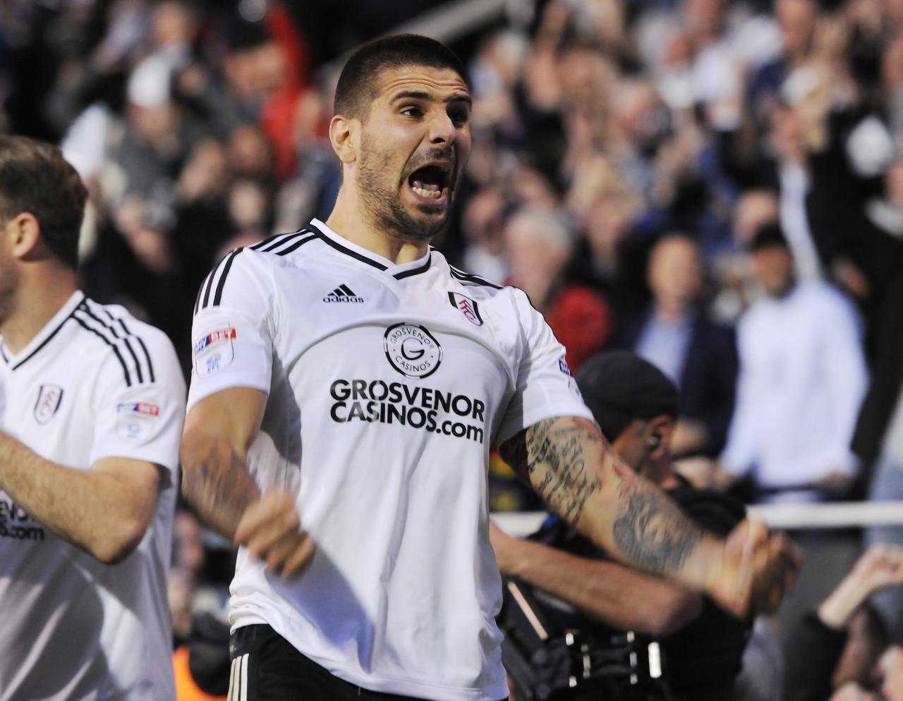 世体：米特罗维奇27场比赛进30球，距英冠纪录仅差一球|英冠|米特罗维奇|塞尔维亚_新浪新闻