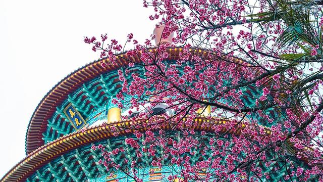 赵小明:穷人翻不了身,你的父母该负什么责任?休闲区蓝鸢梦想 - Www.slyday.coM 赵小明:穷人翻不了身,你的父母该负什么责任?休闲区蓝鸢梦想 - Www.slyday.coM