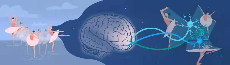 羽生结弦挑战4A时,大脑中的时空信息如何高效整合?最新发现颠覆经典假设休闲区蓝鸢梦想 - Www.slyday.coM 羽生结弦挑战4A时,大脑中的时空信息如何高效整合?最新发现颠覆经典假设休闲区蓝鸢梦想 - Www.slyday.coM