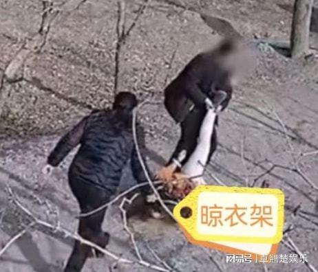 知名博主因拿不出50万彩礼!其女友被家人强行拖走!网友热议!休闲区蓝鸢梦想 - Www.slyday.coM 知名博主因拿不出50万彩礼!其女友被家人强行拖走!网友热议!休闲区蓝鸢梦想 - Www.slyday.coM