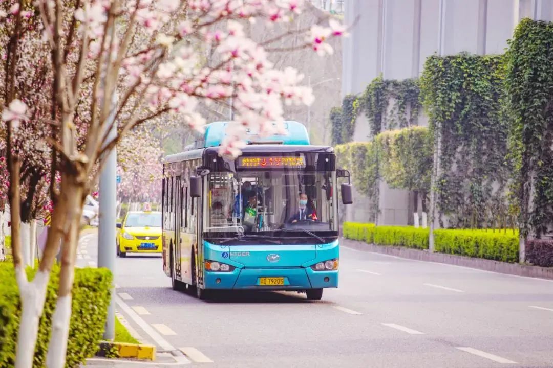 穿行在城市中的重庆公交（资料图）重庆公交集团供图