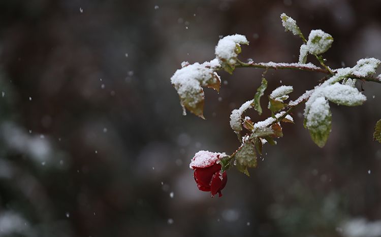 新闻8点见丨新突破!闫文港获冬奥会男子钢架雪车铜牌休闲区蓝鸢梦想 - Www.slyday.coM 新闻8点见丨新突破!闫文港获冬奥会男子钢架雪车铜牌休闲区蓝鸢梦想 - Www.slyday.coM