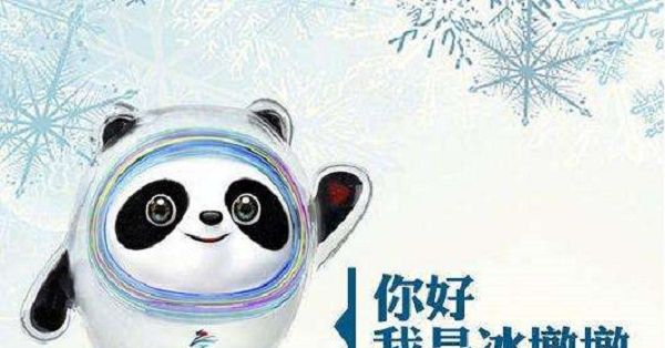 厚颜无耻!韩网友说熊猫是<a href=