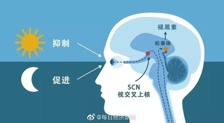 中国3亿人存在睡眠障碍 66.95%的人喜欢在睡前玩手机休闲区蓝鸢梦想 - Www.slyday.coM 中国3亿人存在睡眠障碍 66.95%的人喜欢在睡前玩手机休闲区蓝鸢梦想 - Www.slyday.coM