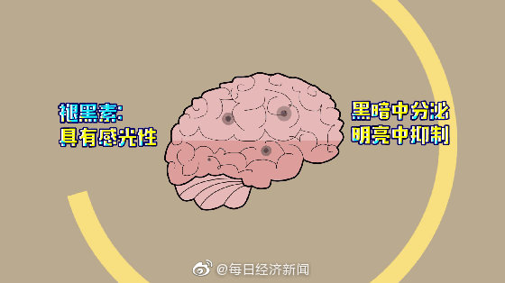 中国3亿人存在睡眠障碍 66.95%的人喜欢在睡前玩手机休闲区蓝鸢梦想 - Www.slyday.coM 中国3亿人存在睡眠障碍 66.95%的人喜欢在睡前玩手机休闲区蓝鸢梦想 - Www.slyday.coM