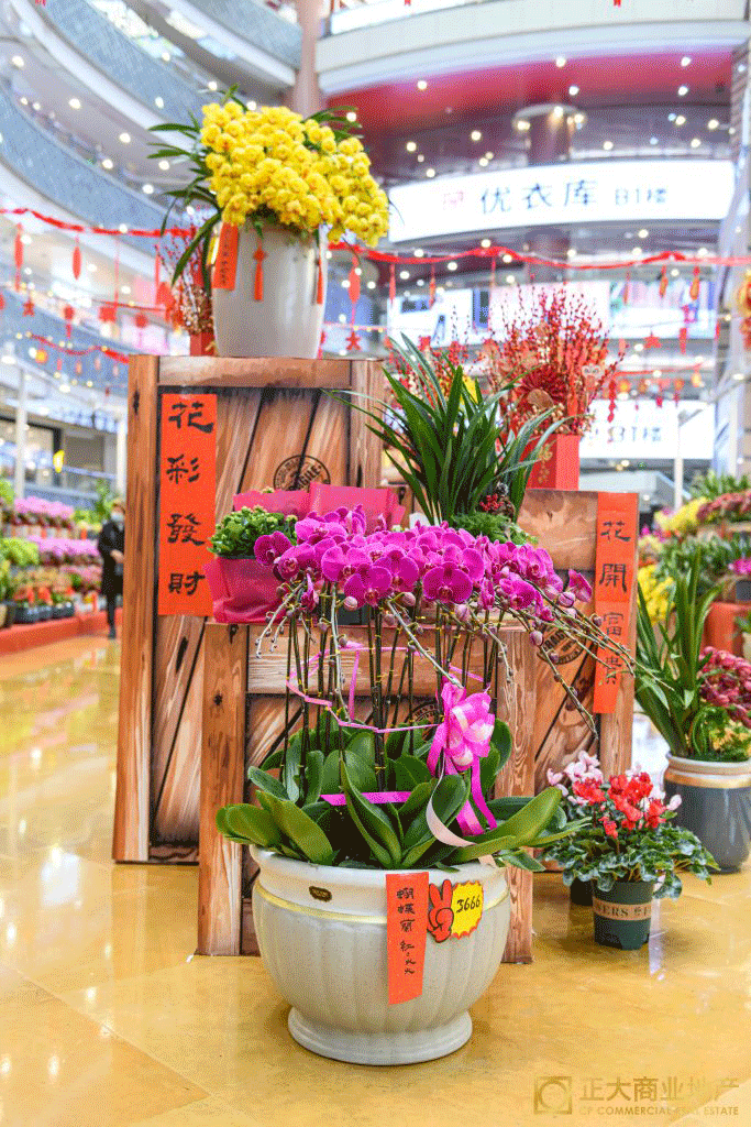 颜值爆表!魔都16家商场氛围感大赏!你想去哪里“闹元宵”?休闲区蓝鸢梦想 - Www.slyday.coM 颜值爆表!魔都16家商场氛围感大赏!你想去哪里“闹元宵”?休闲区蓝鸢梦想 - Www.slyday.coM