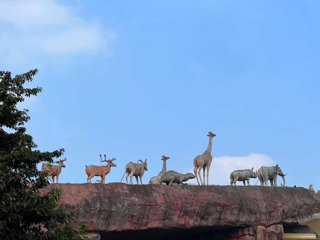 重庆永川乐和乐都主题公园的长颈鹿和大象  布·视觉/邹乐 摄