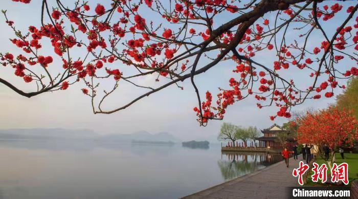 杭州西湖风景图. 马立群 摄