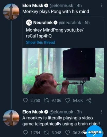 给23只猴子大脑装芯片,结果死了15只?!马斯克的脑机接口公司被喷惨了....休闲区蓝鸢梦想 - Www.slyday.coM 给23只猴子大脑装芯片,结果死了15只?!马斯克的脑机接口公司被喷惨了....休闲区蓝鸢梦想 - Www.slyday.coM