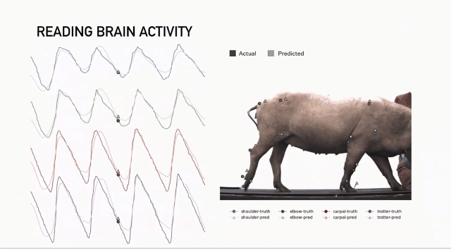 给23只猴子大脑装芯片,结果死了15只?!马斯克的脑机接口公司被喷惨了....休闲区蓝鸢梦想 - Www.slyday.coM 给23只猴子大脑装芯片,结果死了15只?!马斯克的脑机接口公司被喷惨了....休闲区蓝鸢梦想 - Www.slyday.coM