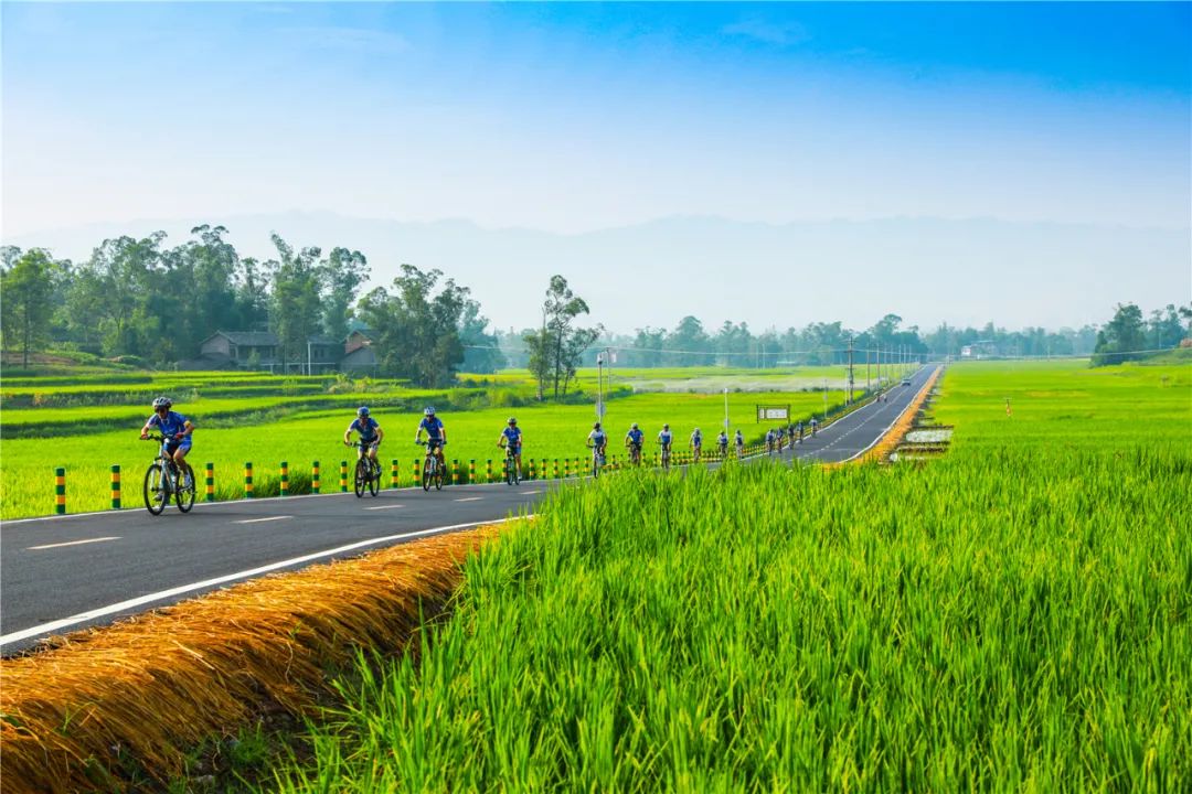 梁平区渔米路被评为2020年度全国“十大最美农村路” 黄梦云 摄