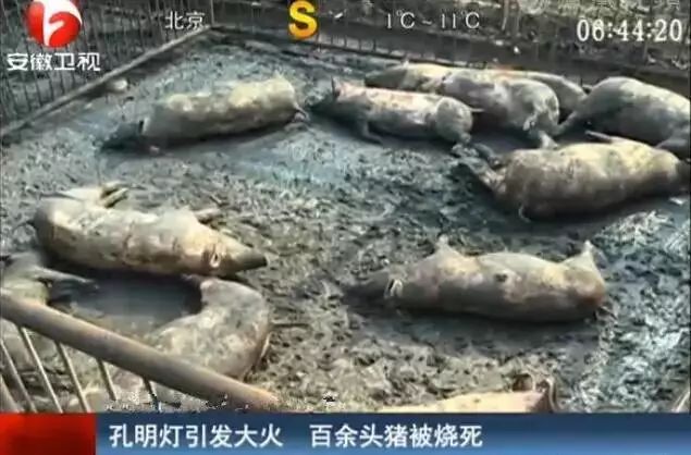 紧急提醒:元宵节禁燃禁放烟花爆竹!休闲区蓝鸢梦想 - Www.slyday.coM 紧急提醒:元宵节禁燃禁放烟花爆竹!休闲区蓝鸢梦想 - Www.slyday.coM