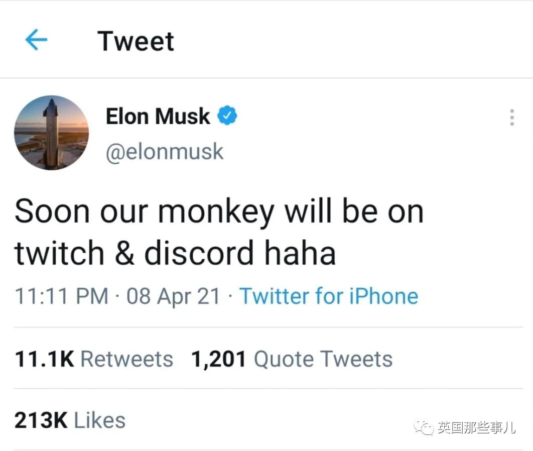 给23只猴子大脑装芯片,结果死了15只?!马斯克的脑机接口公司被喷惨了....休闲区蓝鸢梦想 - Www.slyday.coM 给23只猴子大脑装芯片,结果死了15只?!马斯克的脑机接口公司被喷惨了....休闲区蓝鸢梦想 - Www.slyday.coM