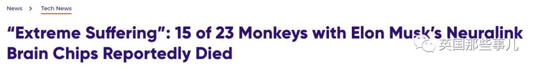 给23只猴子大脑装芯片,结果死了15只?!马斯克的脑机接口公司被喷惨了....休闲区蓝鸢梦想 - Www.slyday.coM 给23只猴子大脑装芯片,结果死了15只?!马斯克的脑机接口公司被喷惨了....休闲区蓝鸢梦想 - Www.slyday.coM