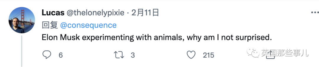 给23只猴子大脑装芯片,结果死了15只?!马斯克的脑机接口公司被喷惨了....休闲区蓝鸢梦想 - Www.slyday.coM 给23只猴子大脑装芯片,结果死了15只?!马斯克的脑机接口公司被喷惨了....休闲区蓝鸢梦想 - Www.slyday.coM