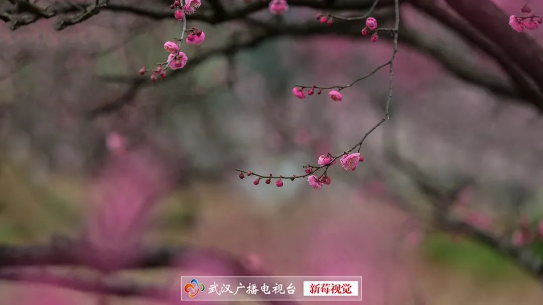 今天元宵节,守望幸福团圆休闲区蓝鸢梦想 - Www.slyday.coM 今天元宵节,守望幸福团圆休闲区蓝鸢梦想 - Www.slyday.coM