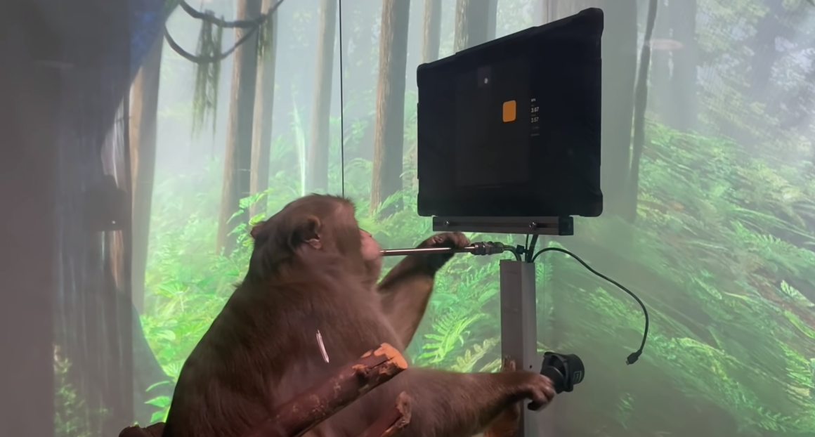 被指控虐猴,马斯克脑机接口公司回应:一切行为符合法律休闲区蓝鸢梦想 - Www.slyday.coM 被指控虐猴,马斯克脑机接口公司回应:一切行为符合法律休闲区蓝鸢梦想 - Www.slyday.coM