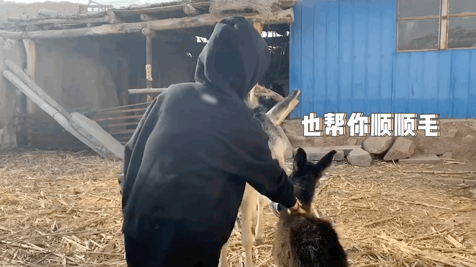 隐入尘烟