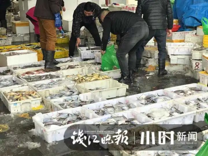 大降价!杭城此地,5块钱就能淘到这种美味:太鲜了!有人抢货30斤:买到就是赚到休闲区蓝鸢梦想 - Www.slyday.coM 大降价!杭城此地,5块钱就能淘到这种美味:太鲜了!有人抢货30斤:买到就是赚到休闲区蓝鸢梦想 - Www.slyday.coM