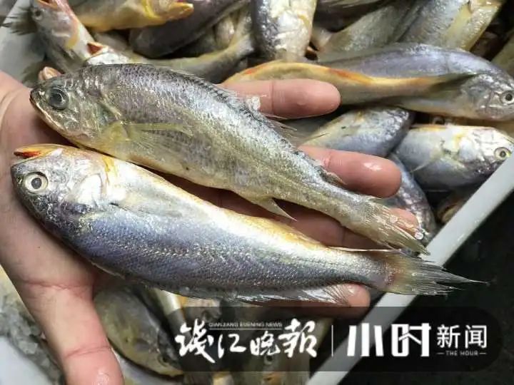 大降价!杭城此地,5块钱就能淘到这种美味:太鲜了!有人抢货30斤:买到就是赚到休闲区蓝鸢梦想 - Www.slyday.coM 大降价!杭城此地,5块钱就能淘到这种美味:太鲜了!有人抢货30斤:买到就是赚到休闲区蓝鸢梦想 - Www.slyday.coM