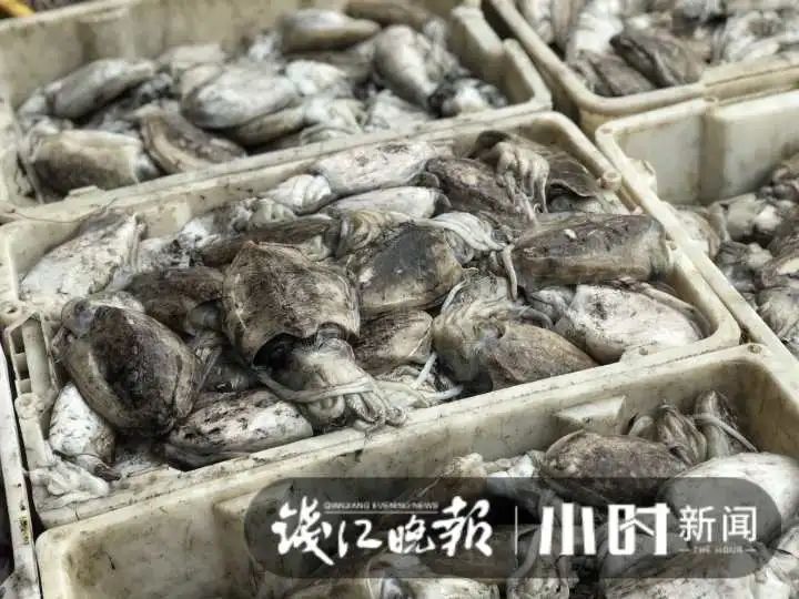 大降价!杭城此地,5块钱就能淘到这种美味:太鲜了!有人抢货30斤:买到就是赚到休闲区蓝鸢梦想 - Www.slyday.coM 大降价!杭城此地,5块钱就能淘到这种美味:太鲜了!有人抢货30斤:买到就是赚到休闲区蓝鸢梦想 - Www.slyday.coM