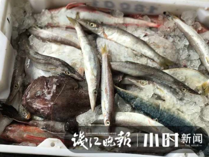 大降价!杭城此地,5块钱就能淘到这种美味:太鲜了!有人抢货30斤:买到就是赚到休闲区蓝鸢梦想 - Www.slyday.coM 大降价!杭城此地,5块钱就能淘到这种美味:太鲜了!有人抢货30斤:买到就是赚到休闲区蓝鸢梦想 - Www.slyday.coM