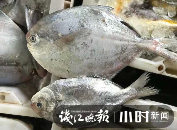 大降价!杭城此地,5块钱就能淘到这种美味:太鲜了!有人抢货30斤:买到就是赚到休闲区蓝鸢梦想 - Www.slyday.coM 大降价!杭城此地,5块钱就能淘到这种美味:太鲜了!有人抢货30斤:买到就是赚到休闲区蓝鸢梦想 - Www.slyday.coM