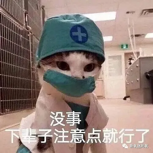多极射频是什么韩剧《僵尸校园》里的她被称为“怪物新人”_https://www.jmylbn.com_新闻资讯_第12张