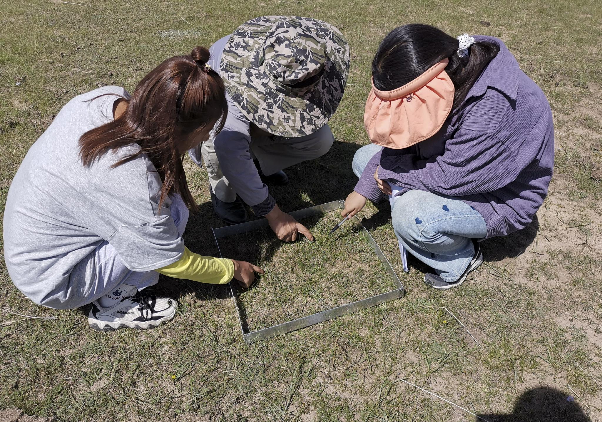 最新研究表明:海拔不是导致青藏高原缺氧的唯一因素休闲区蓝鸢梦想 - Www.slyday.coM 最新研究表明:海拔不是导致青藏高原缺氧的唯一因素休闲区蓝鸢梦想 - Www.slyday.coM