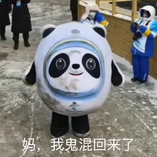 18p冰墩墩表情包新的