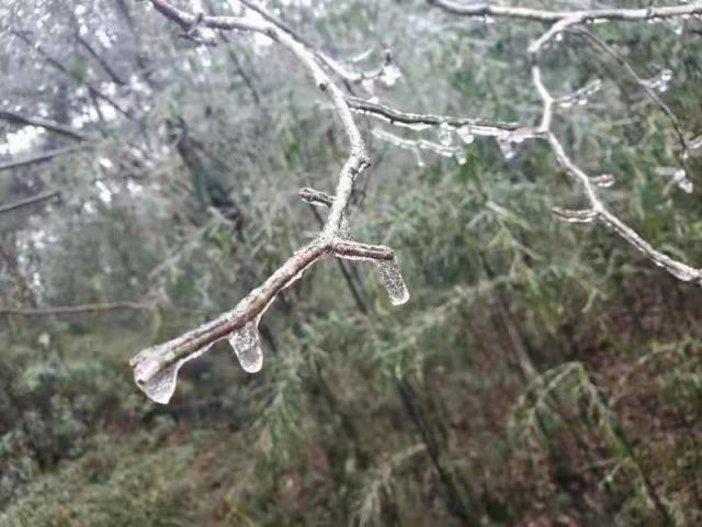 广东下雪了!南岭迎来2022年第一场雪休闲区蓝鸢梦想 - Www.slyday.coM 广东下雪了!南岭迎来2022年第一场雪休闲区蓝鸢梦想 - Www.slyday.coM