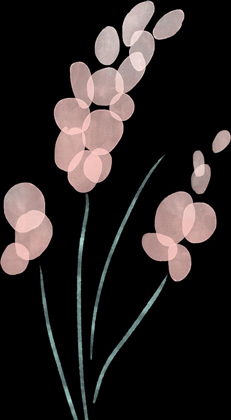 《哈利波特》早已告诉你啦!|sugar|哈利波特|霍格沃茨_新浪新闻