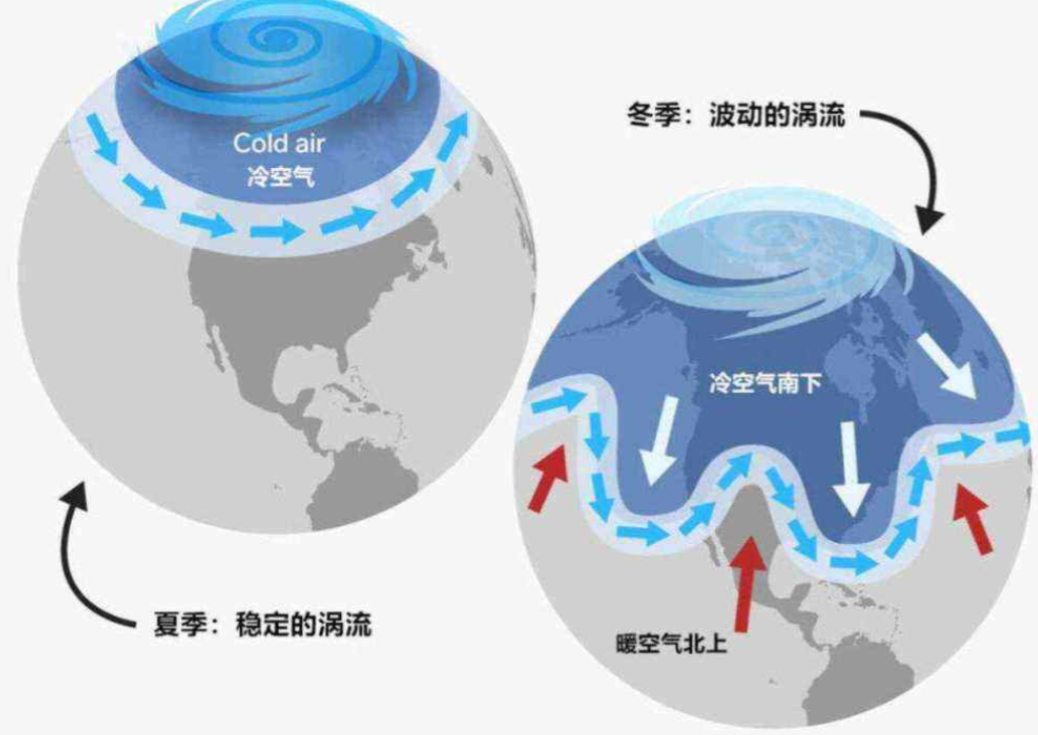 一场大火，超过6万只考拉死伤！澳洲国宝多地变濒危
