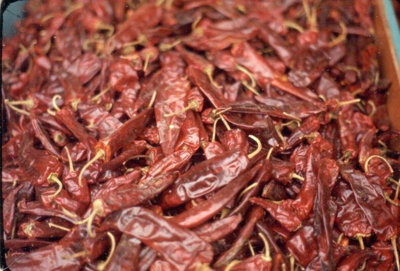 老照片  1971年的<a href=