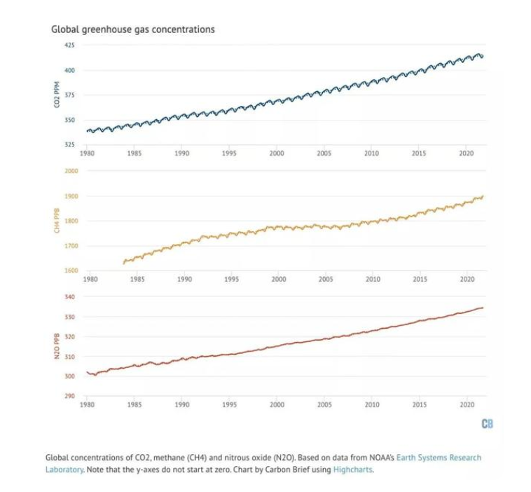 一场大火，超过6万只考拉死伤！澳洲国宝多地变濒危