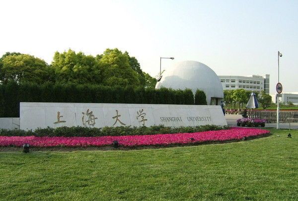 现在的上海大学是几所大学合并而成的,在1994年,包括上海工业大学